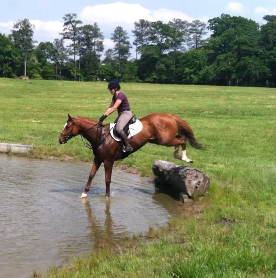 Breaking Free learning to jump cross-country fences