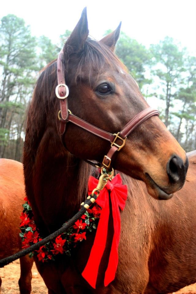 Knight Villain - Sixth Anniversary photo